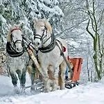 Gorska Osada Lovely Zakopane 波罗宁