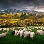 Gorska Osada Lovely Zakopane * Poronin