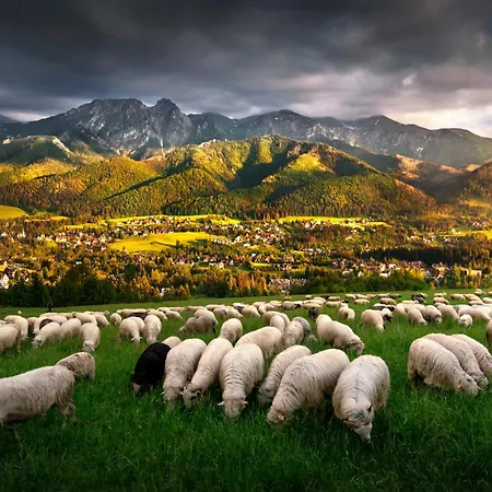 Gorska Osada Lovely Zakopane * 波罗宁