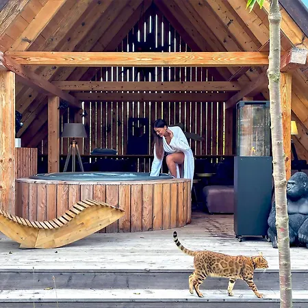 Шале Gorska Osada Lovely Zakopane Поронин